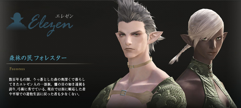 Illustration for article titled The 10 Tribes Of Final Fantasy XIV - Oh Look, Dark Elves!